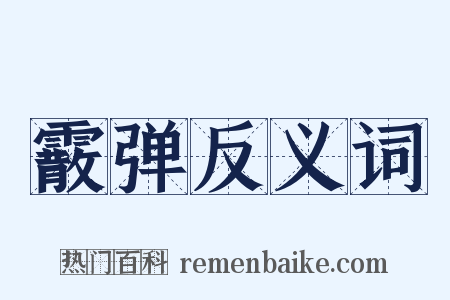 霰弹反义词是什么意思的图片